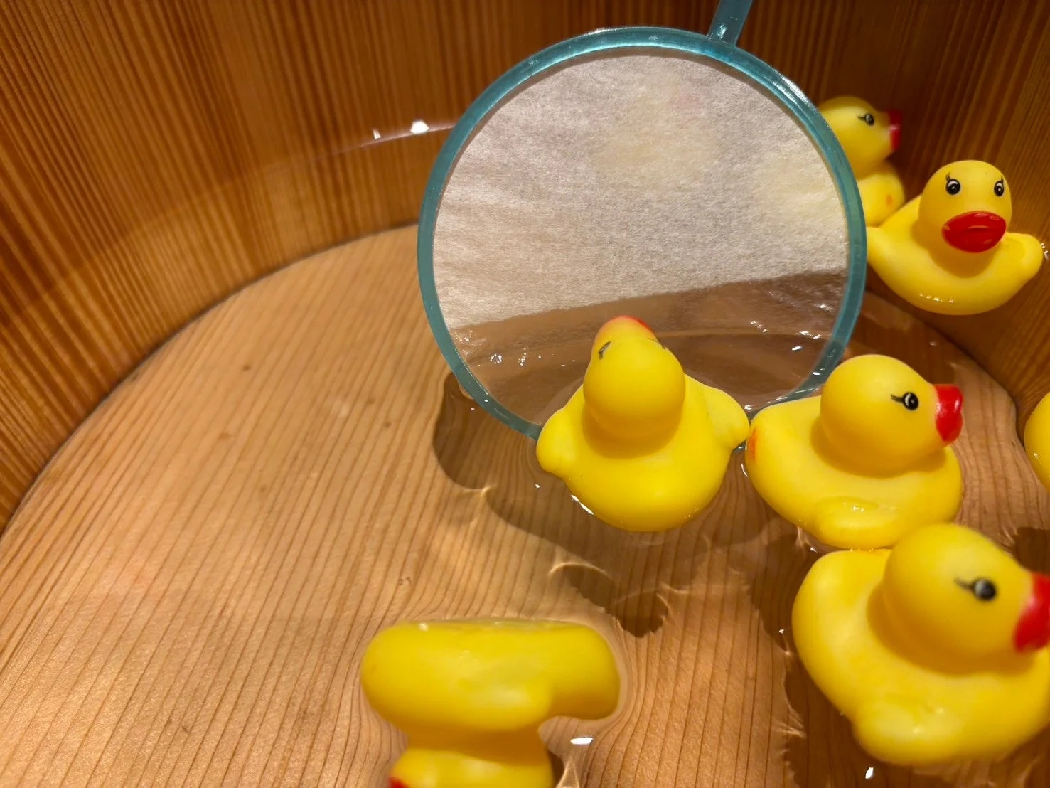 ゴム製のアヒル