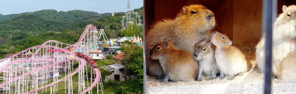 日立かみね公園