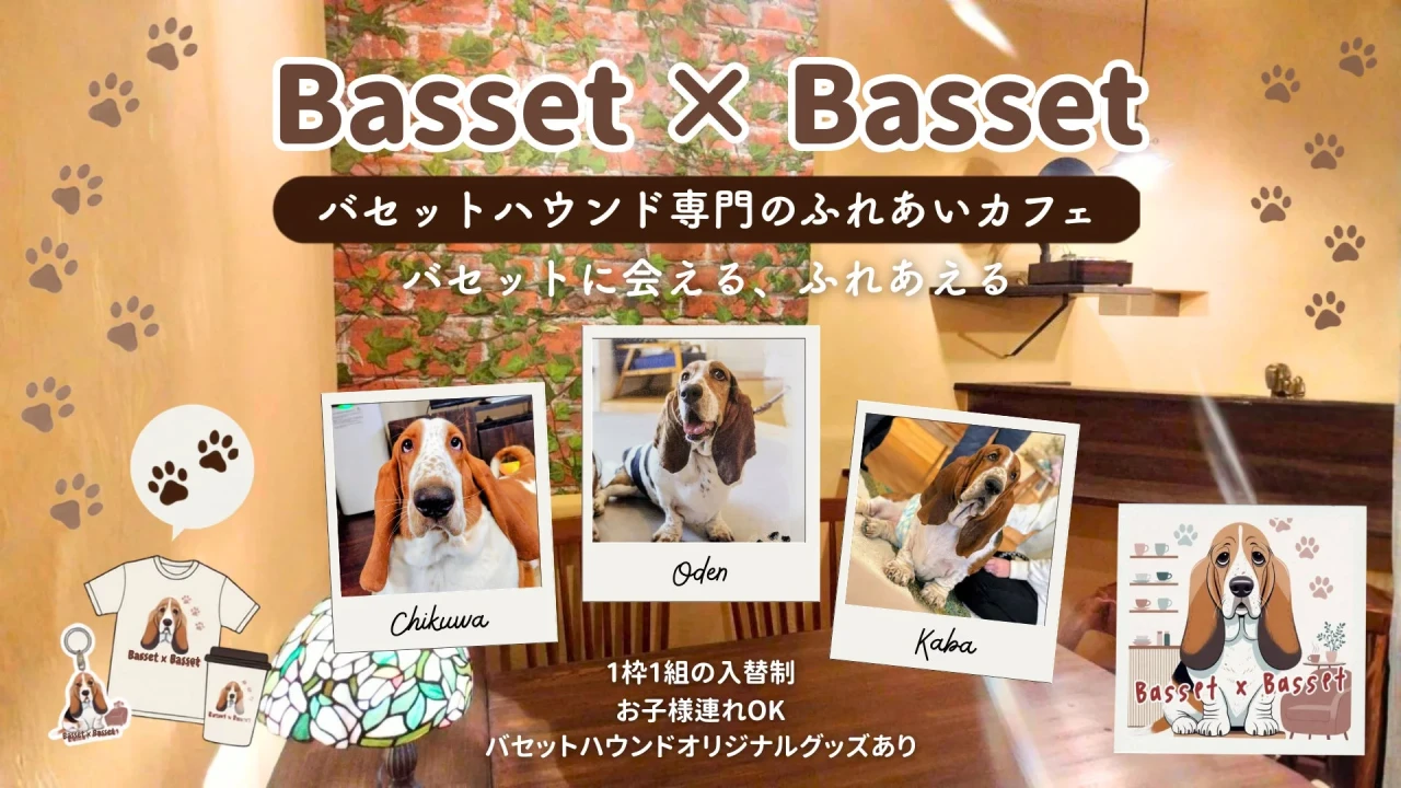 豊橋市にバセットハウンド専門カフェ「Basset×Basset」がグランドオープン！愛らしい3匹と触れ合う癒しの空間とこだわりのカフェメニュー
