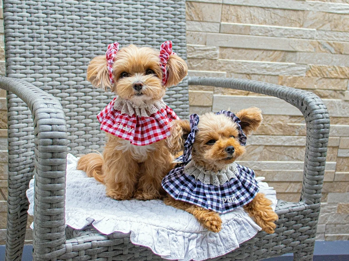 テラス席の犬たち