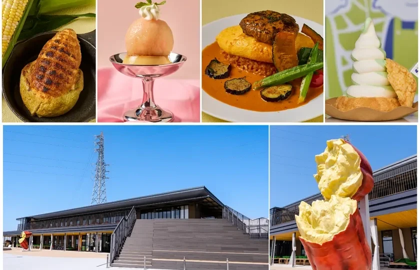 道の駅常総「HOT＆COOL祭り」で熱くて涼しい夏を満喫！限定グルメやイベントが盛りだくさん