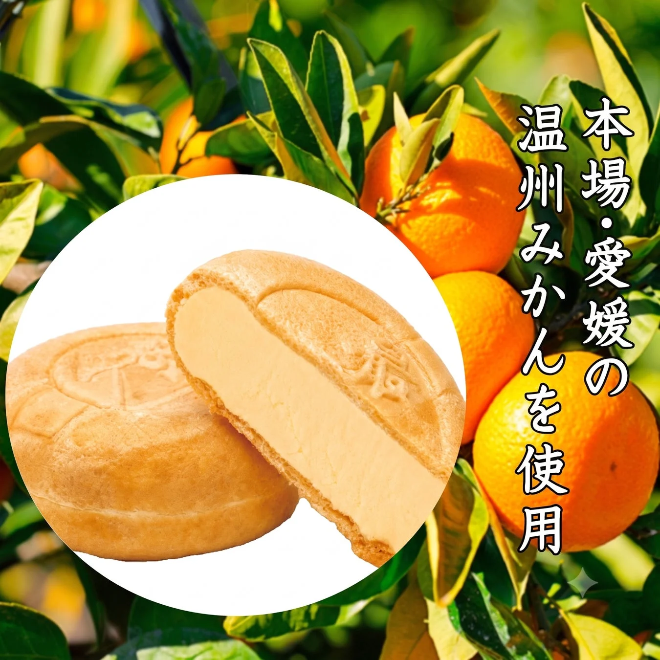 本場・愛媛の温州みかんを使用