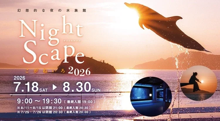 四国水族館で夜の幻想世界へ『Nightscapeこがねいろ2026』開催中！夕焼けに舞うイルカと爽やかレモンソフトを満喫